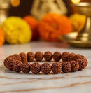 7 Mukhi Rudraksha Bracelet - GoldifyPooja Articles