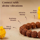 7 Mukhi Rudraksha Bracelet - GoldifyPooja Articles