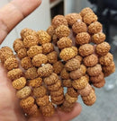 7 Mukhi Rudraksha Bracelet - GoldifyPooja Articles